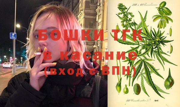 мдпв Бородино