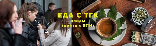 мдпв Бородино