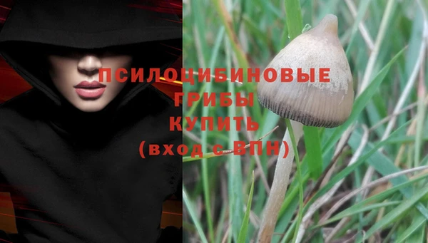 мдпв Бугульма