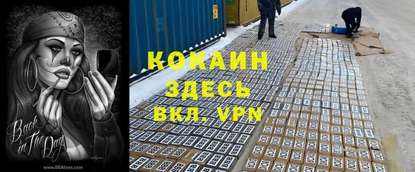 мдпв Бородино