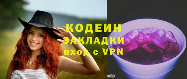 мдпв Бородино