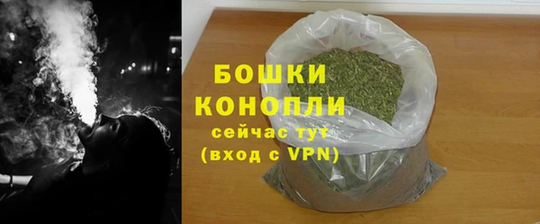 мдпв Бородино