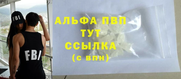мдпв Бородино