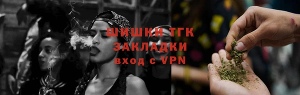 PSILOCYBIN Бронницы