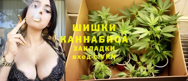 PSILOCYBIN Бронницы