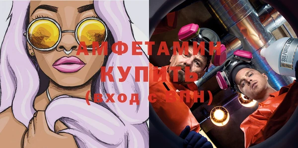 мдпв Бородино