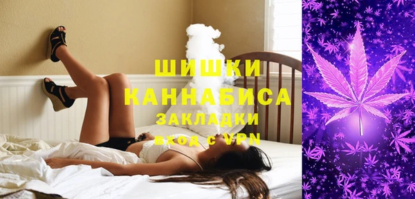мдпв Бородино