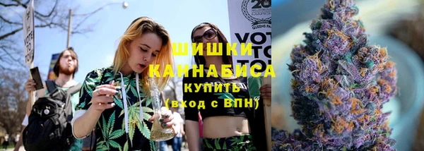мдпв Бородино