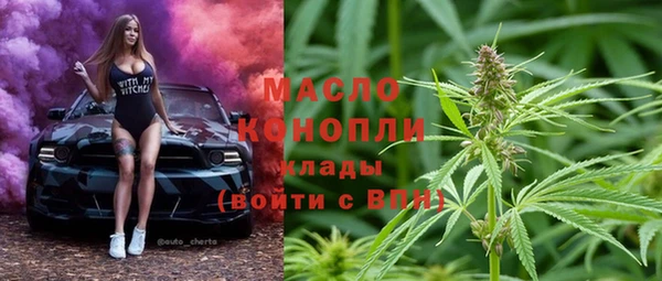 мдпв Бородино