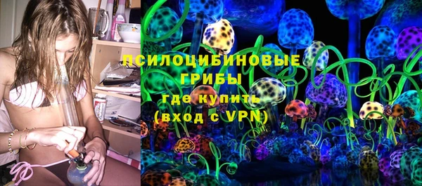 PSILOCYBIN Бронницы