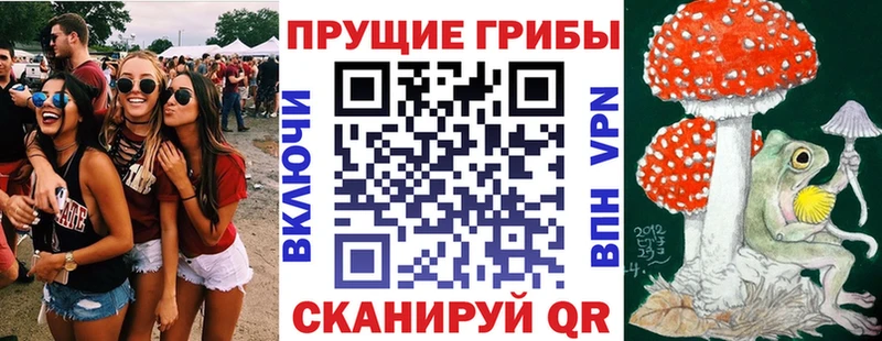 Псилоцибиновые грибы мухоморы  Купить закладки  Пугачёв 